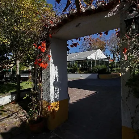Rosas Sintra