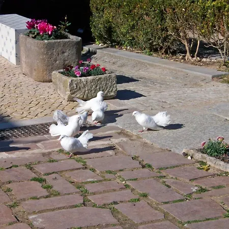 Rosas Konukevi Sintra