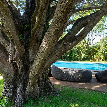 Πανσιόν Rosas