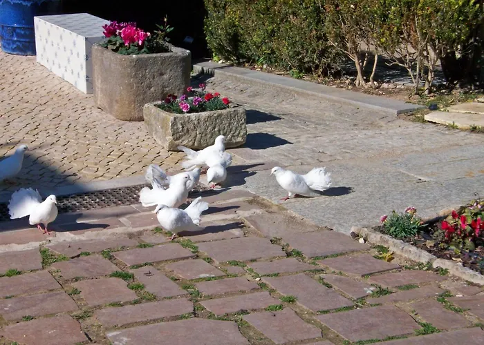 Rosas Pensjonat Sintra